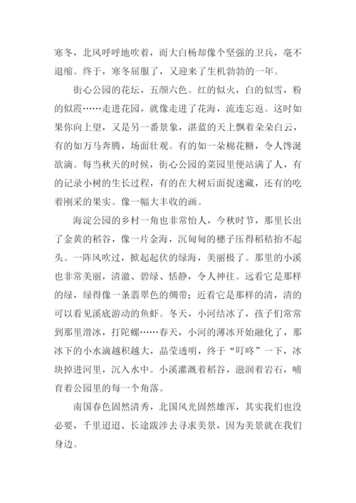 身边的风景作文800字.docx