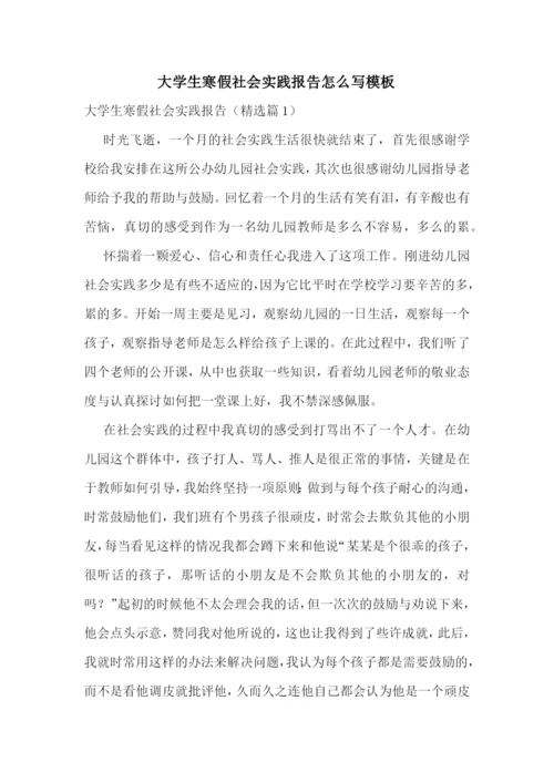 大学生寒假社会实践报告怎么写模板.docx