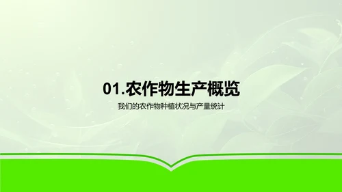 半年农业业绩汇报PPT模板