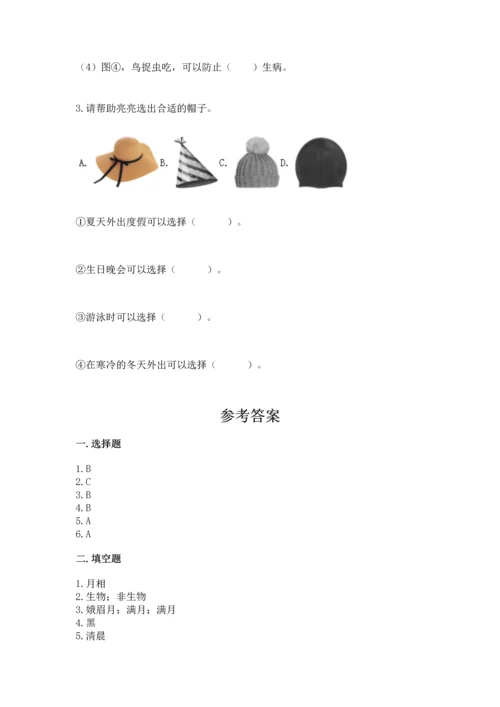 教科版二年级上册科学期末测试卷【模拟题】.docx