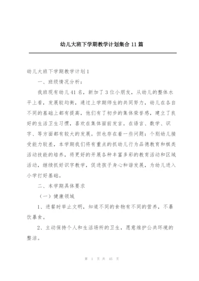 幼儿大班下学期教学计划集合11篇.docx