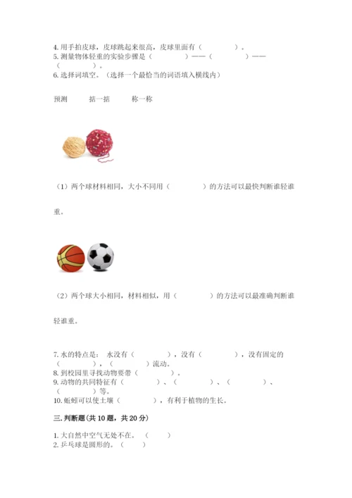 教科版一年级下册科学期末测试卷带答案（巩固）.docx