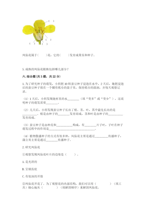 科学四年级下册第一单元《植物的生长变化》测试卷精品【易错题】.docx