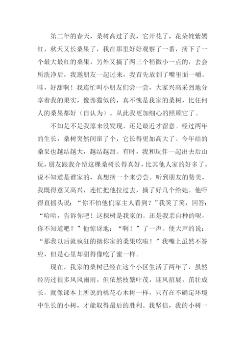 以爱为话题作文抒情.docx