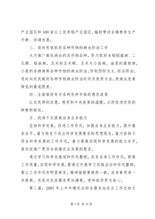 佛楼镇农业服务站.docx