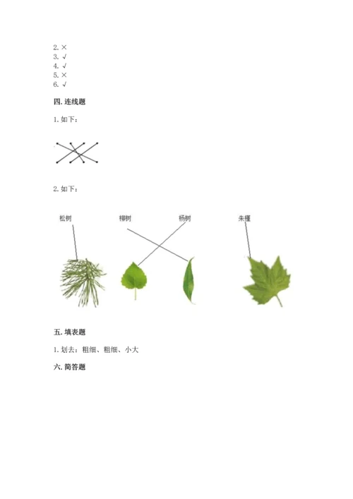 教科版科学一年级上册第一单元《植物》测试卷【word】.docx