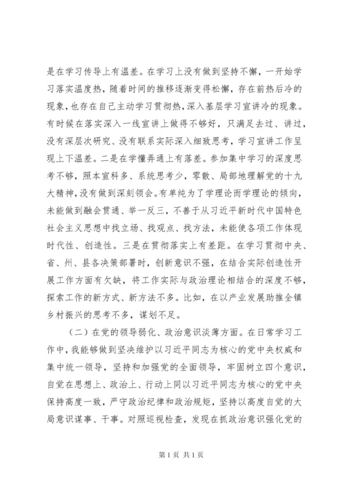 在巡视整改专题民主生活会上的发言提纲【参考范文】.docx