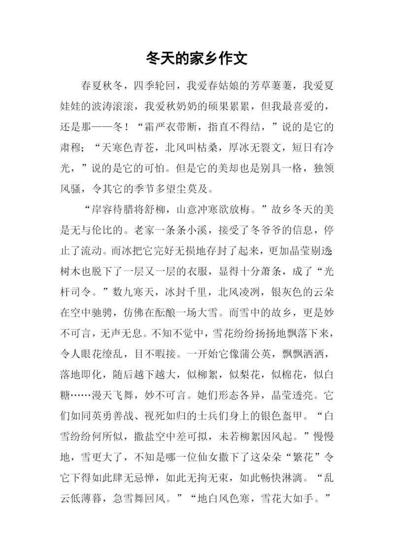 冬天的家乡作文.docx