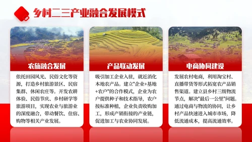 红色商务风乡村振兴战略实施与发展规划PPT模板