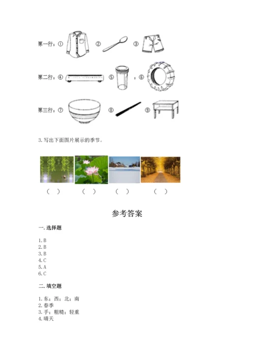 教科版二年级上册科学期末测试卷含完整答案【易错题】.docx
