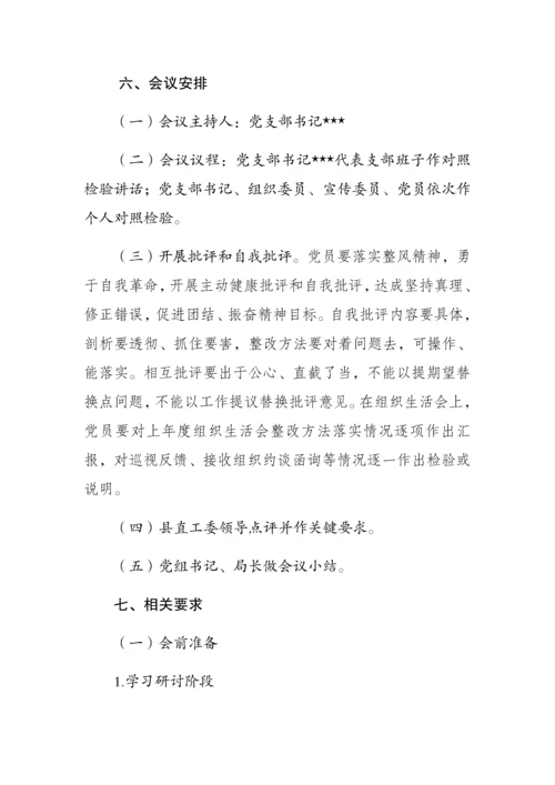 党支部组织生活会工作专业方案.docx