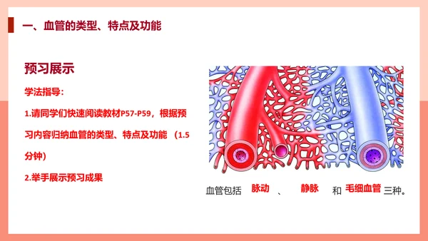 血流的管道，血管课件PPT模板.ppt