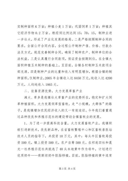 乡镇政府工作总结报告.docx