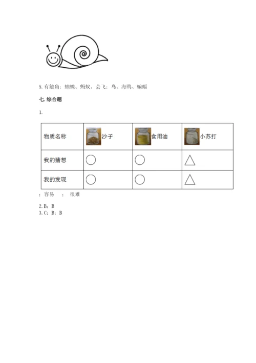 教科版一年级下册科学期末测试卷【考点提分】.docx