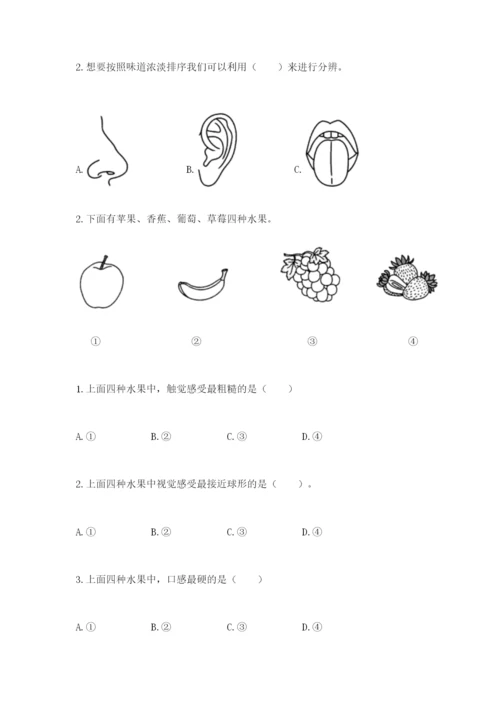 教科版小学科学二年级下册 期末测试卷（综合卷）.docx