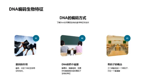 解读DNA：生命密码