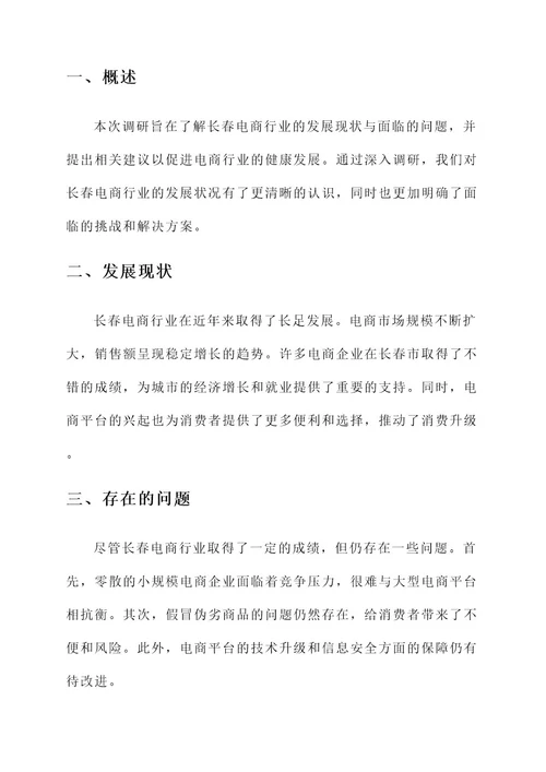 长春电商领导调研工作汇报