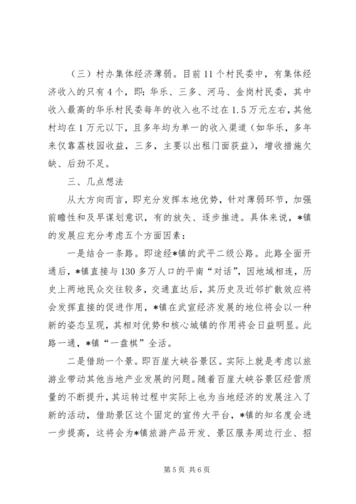 乡镇现状调研报告.docx
