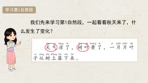 课文1 秋天  课件