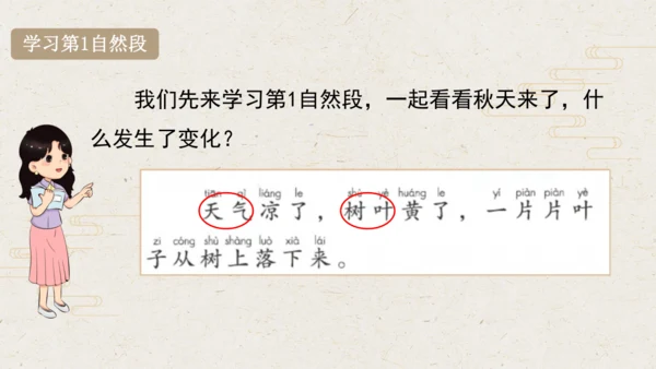课文1 秋天  课件