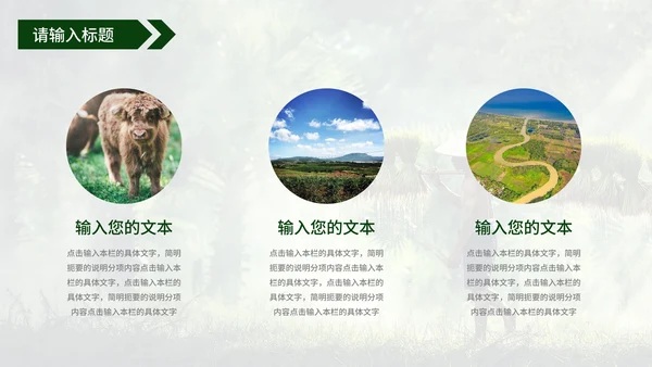 青年在家乡建设中的使命工作汇报PPT模板