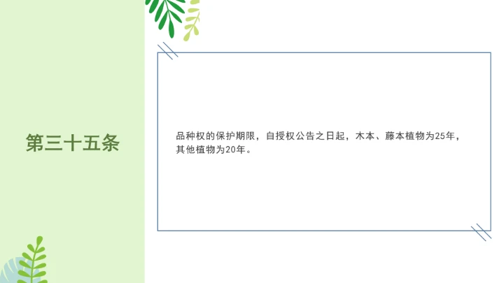 普法全文学习2025年4月新修订《中华人民共和国植物新品种保护条例》PPT课件