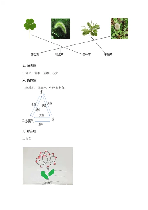 教科版科学一年级上册第一单元植物测试卷精品易错题