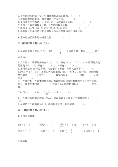 小升初六年级期末测试卷含完整答案（典优）.docx