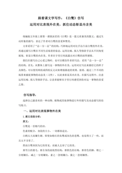 统编版2024-2025学年语文五年级上册跟着课文学写作：1.白鹭 仿写训练  运用对比表现外在美，