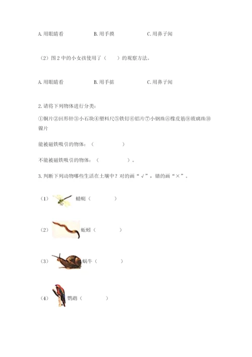 教科版二年级上册科学期末测试卷及参考答案【研优卷】.docx