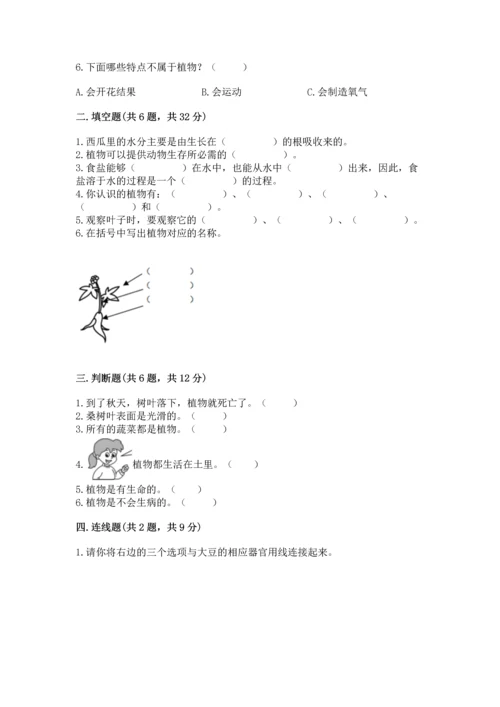 教科版科学一年级上册第一单元《植物》测试卷【必刷】.docx