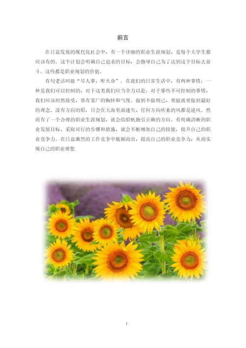19页10100字材料物理专业职业生涯规划.docx