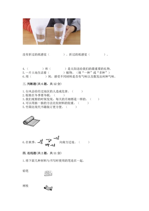 教科版二年级上册科学期末测试卷带答案（能力提升）.docx