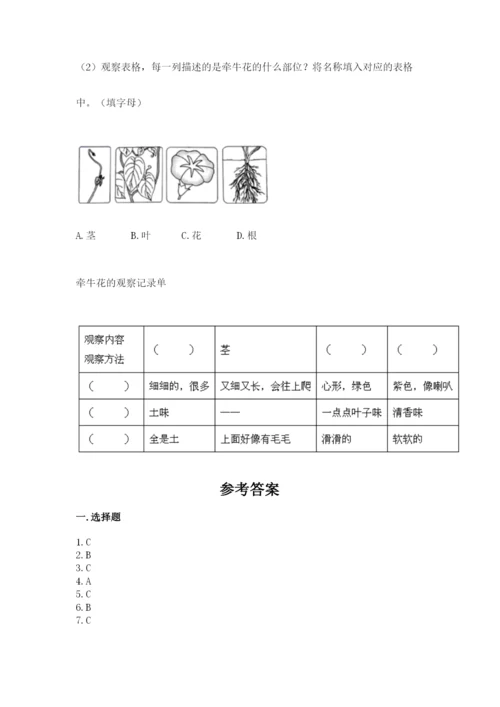 教科版一年级上册科学期末测试卷带答案.docx
