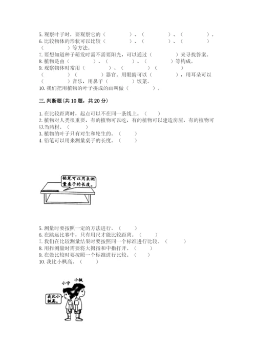 教科版一年级上册科学期末测试卷附答案（实用）.docx