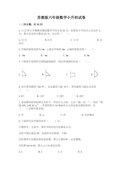 苏教版六年级数学小升初试卷【夺冠系列】.docx