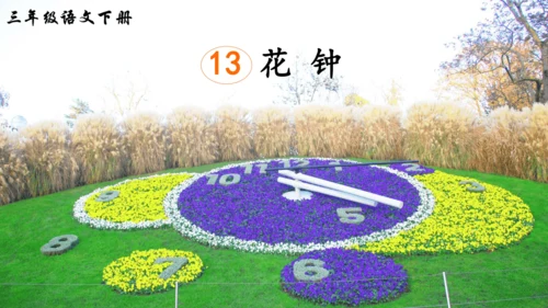 13《花钟》（课件）