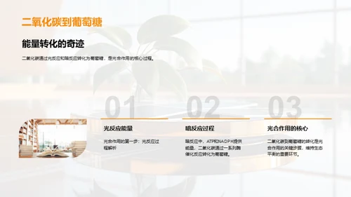 绿色能源之源