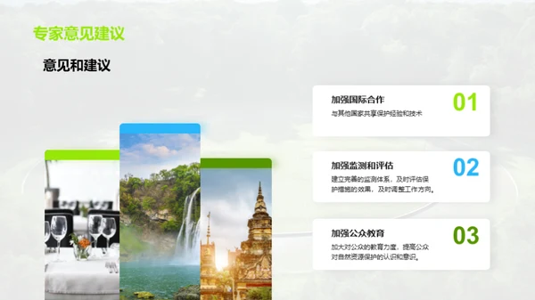 守护绿色家园