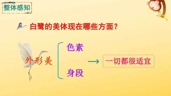 1 白鹭   课件
