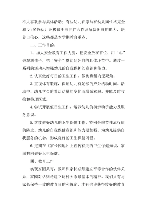 幼儿中班个人工作计划.docx