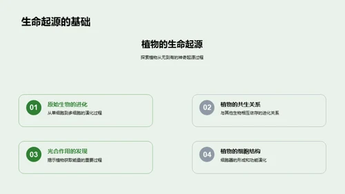 植物生长的秘密