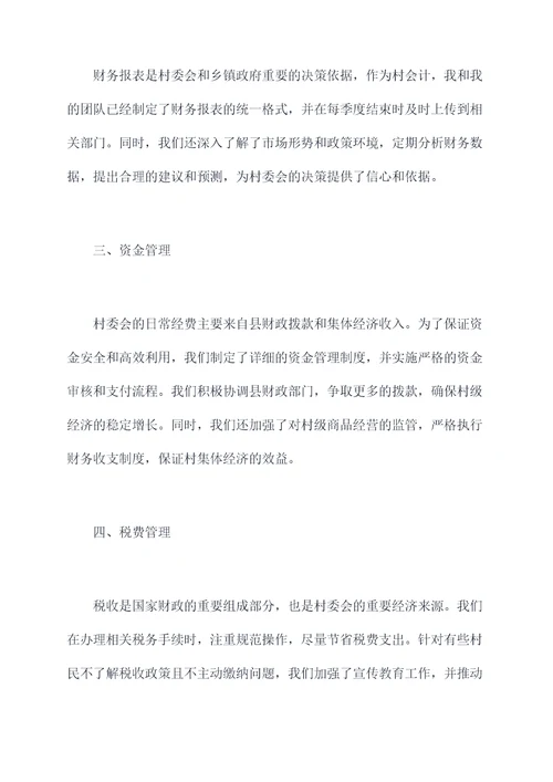 村会计年度述职报告