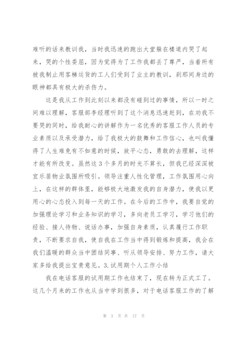 试用期个人工作小结10篇.docx