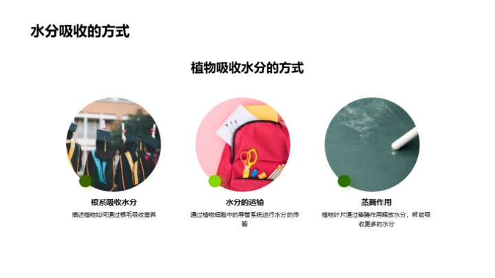 探索植物的奥秘