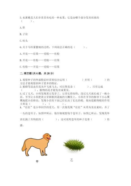 教科版科学四年级下册第一单元《植物的生长变化》测试卷附答案【实用】.docx