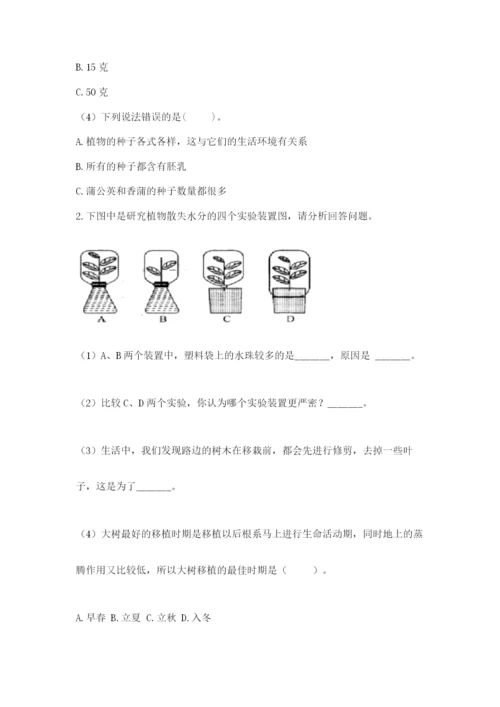 科学四年级下册第一单元《植物的生长变化》测试卷及完整答案【典优】.docx