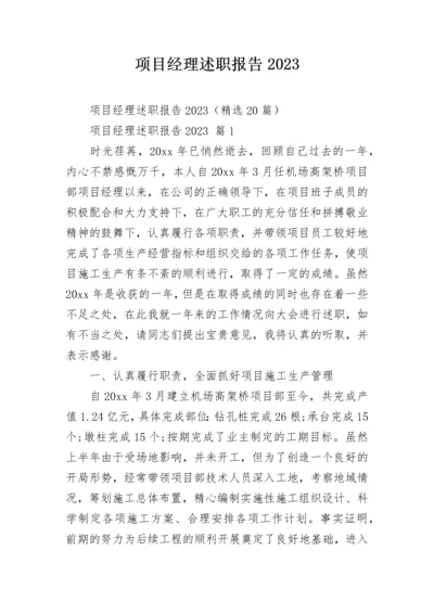 项目经理述职报告2023.docx