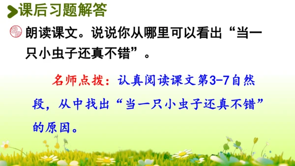 11.我是一只小虫子 课件