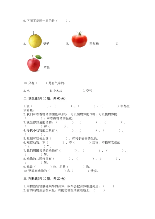 教科版一年级下册科学期末测试卷带精品答案.docx